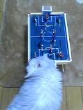06_01_23_21_50.jpg