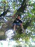2005-06-13 00:01:14