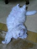 06_01_21_23_36.jpg
