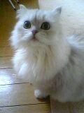 06_01_21_09_11.jpg