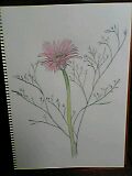絵