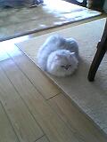 06_01_24_10_52.jpg