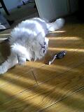 06_01_25_15_19.jpg