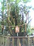 2005-08-24 22:38:28