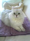 06_01_15_14_54.jpg