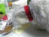 06_01_17_22_07.jpg