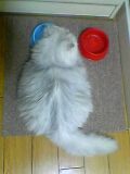 06_01_05_22_44.jpg