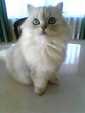06_01_11_11_10.jpg