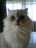 06_01_11_11_11.jpg