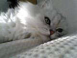 2005-11-26 18:50:51