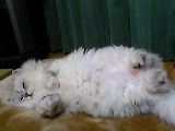 06_01_27_00_05.jpg