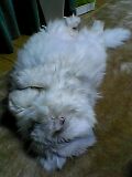 06_01_27_00_10.jpg