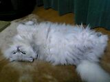06_01_26_23_59.jpg