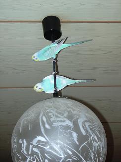 高いところが大好きトトとリリ