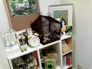 小鳥診察室