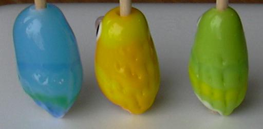 ラッキーさんインコ後姿