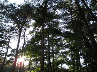 根の上高原キャンプ場☆夕陽.JPG