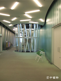 七階・スタジオ