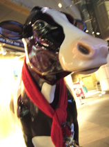 ミルクバーの牛