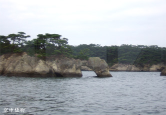 長命島。隙間を小船で通り抜けると長生きできるらしい。