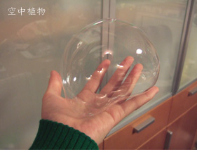 うまく丸くならない、、、ソラマメ型に（笑）