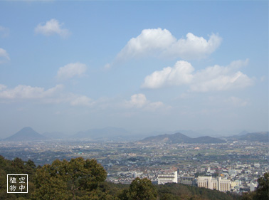 昇りきった人へのご褒美の景色★