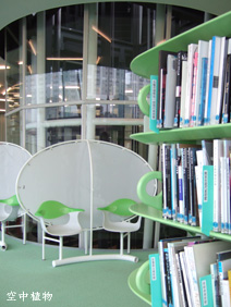 本棚も床もソラマメ