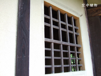 西郷さんと勝さんの噂のあずまやはこの場所にあったらしい？（未確認情報）