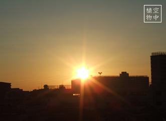 朝日が目に沁みるι