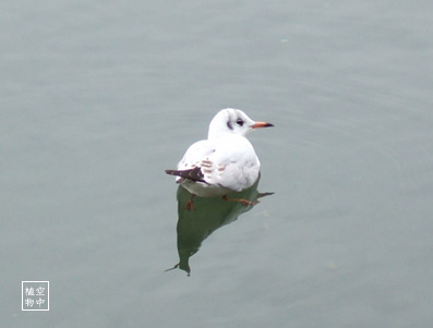 はんっ、みたいな（笑）