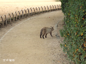 あんたなんか眼中にないわ。