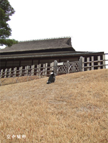 らぶりーなうしろ姿。