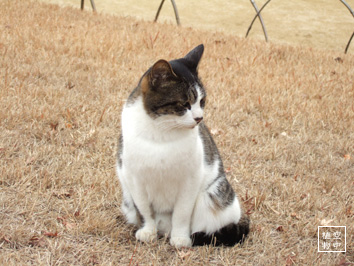 何？うざいんですけどー。