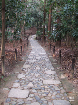 石の模様（？）綺麗。。