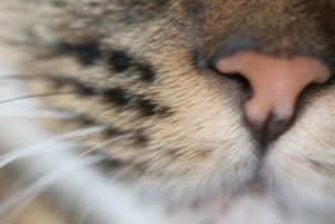 2006-11-15.jpg