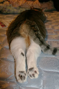 2006-10-07_3.jpg