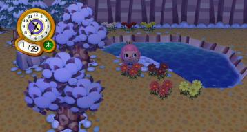 黒コスモス１号