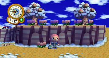 ピンクチューリップ６号