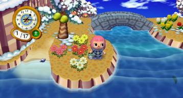 ピンクコスモス６号