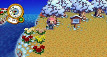 ピンクバラ１９号