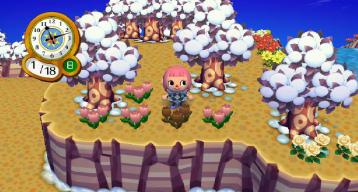 ピンクチューリップ７号