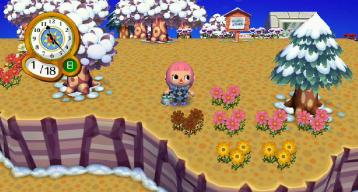 ピンクコスモス８号