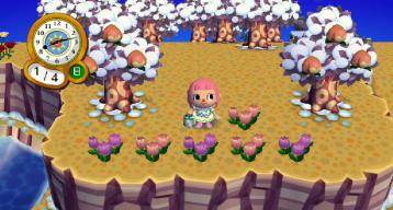 ピンクチューリップ３号