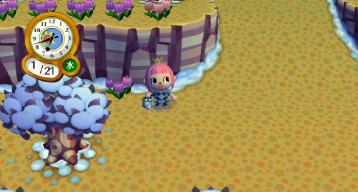 紫チューリップ５号