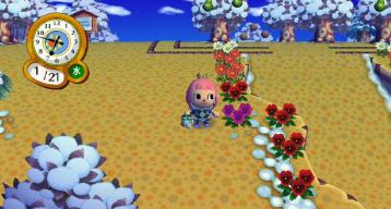 紫パンジー２号