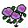 紫バラ