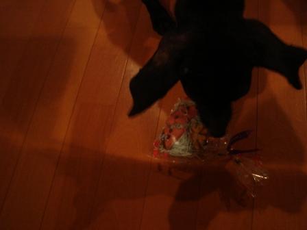 suica2