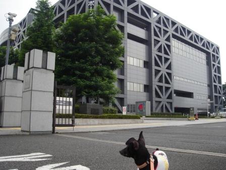 張り込み