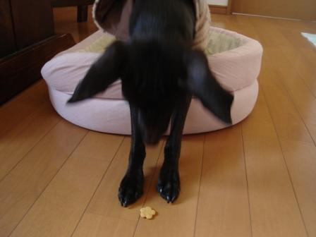 産地直送３