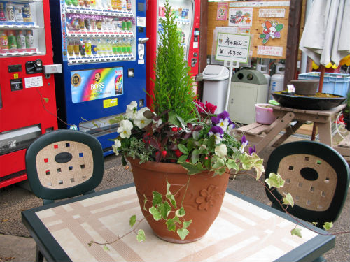 寄せ植えー３